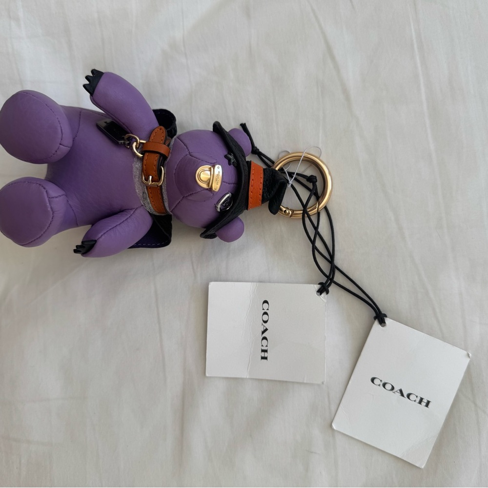 Coach Witch Bear Charm